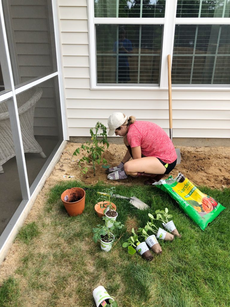 Gardening DIY