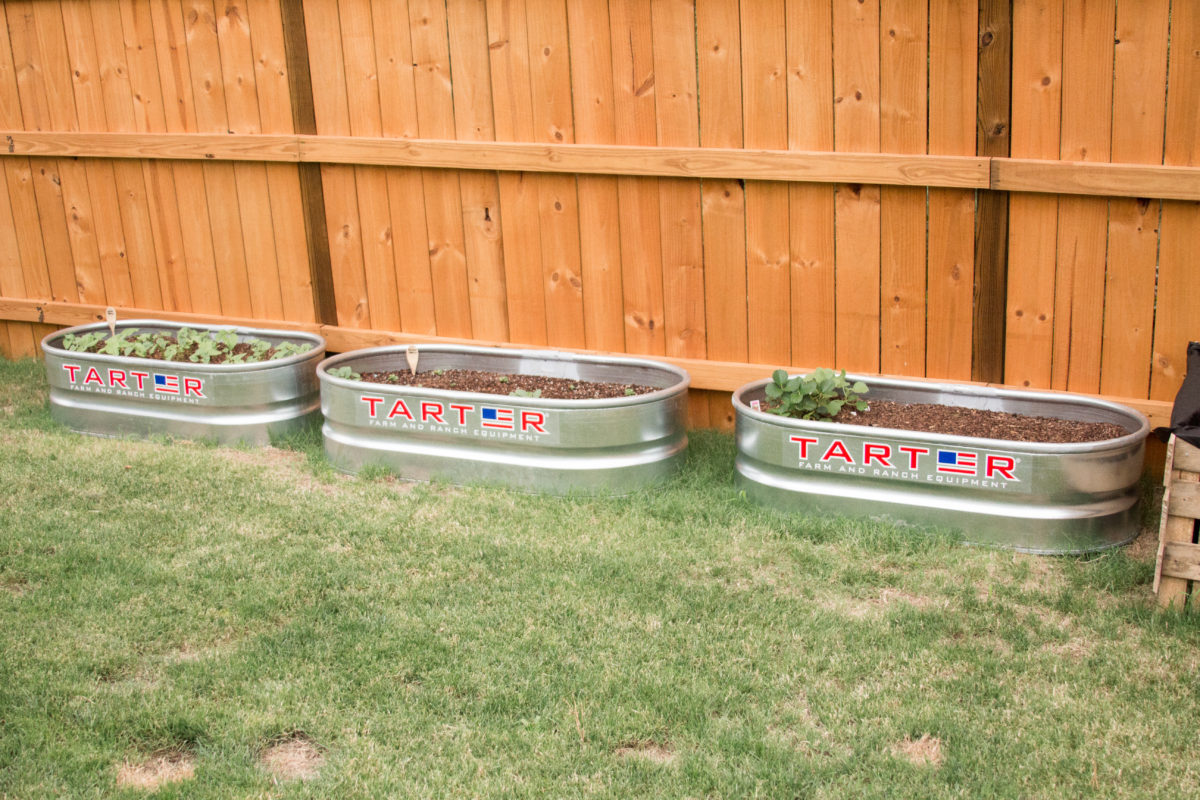 Stock Tank Garden Planters Jordan Jean